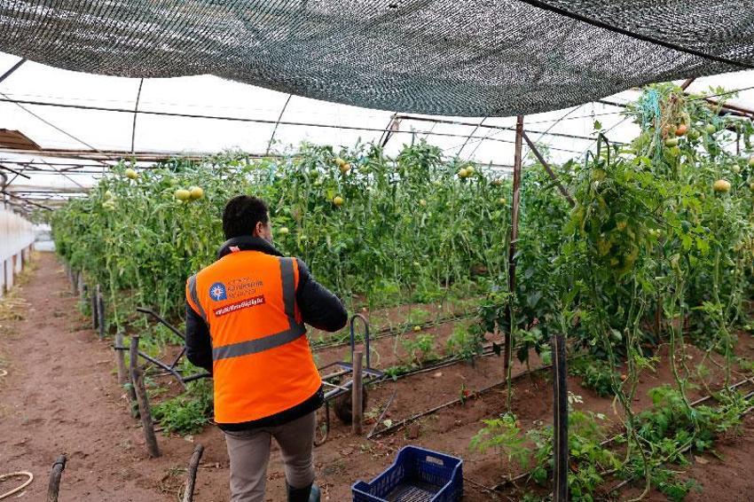 Antalya'da felaketi yaşayan 3 ilçede hasar tespit çalışmaları başladı