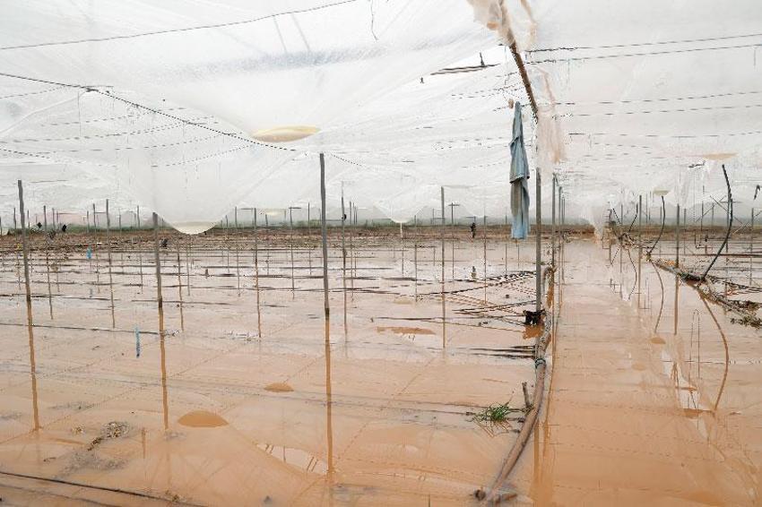 Antalya'da felaketi yaşayan 3 ilçede hasar tespit çalışmaları başladı
