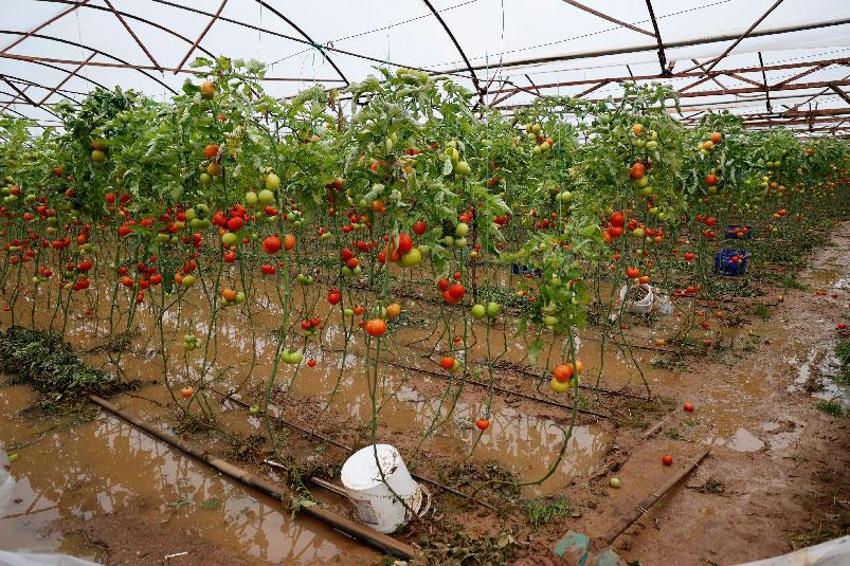 Antalya'da felaketi yaşayan 3 ilçede hasar tespit çalışmaları başladı