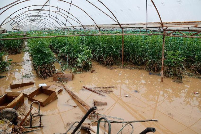 Antalya'da felaketi yaşayan 3 ilçede hasar tespit çalışmaları başladı