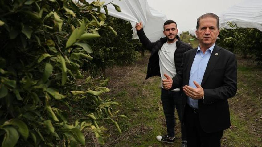 Adana'ya kabus gibi çöktü! 2 milyon TL yerine 50 bin liraya hallettiler