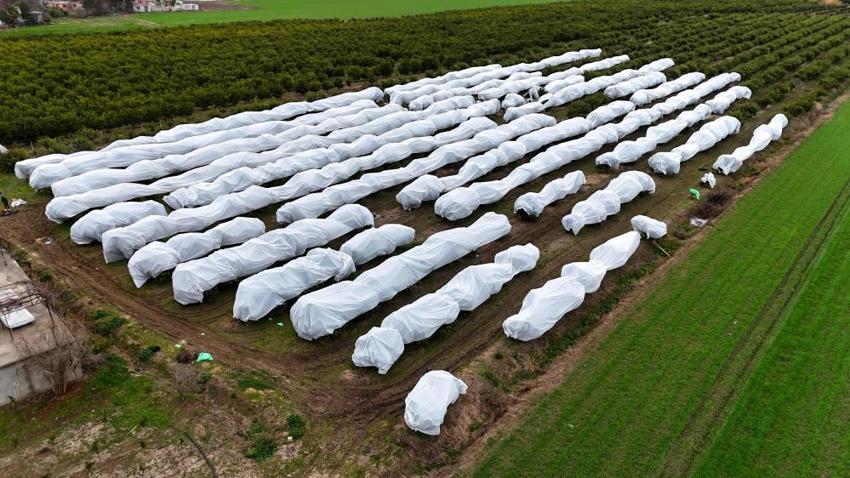 Adana'ya kabus gibi çöktü! 2 milyon TL yerine 50 bin liraya hallettiler
