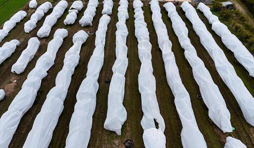 Adana'ya kabus gibi çöktü! 2 milyon TL yerine 50 bin liraya hallettiler