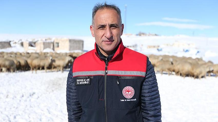 Karslı vatandaş 'başaramayacaksınız' diyenlere aldırış etmedi! Devlet desteğiyle sürü sahibi oldu kısa sürede 6 kat büyüttü