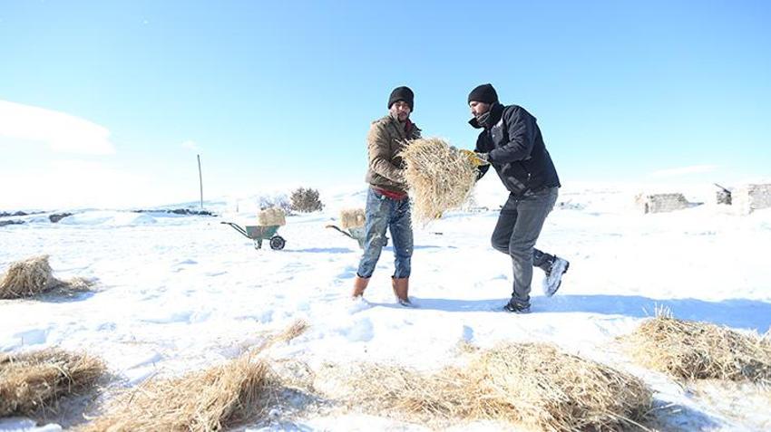 Karslı vatandaş 'başaramayacaksınız' diyenlere aldırış etmedi! Devlet desteğiyle sürü sahibi oldu kısa sürede 6 kat büyüttü