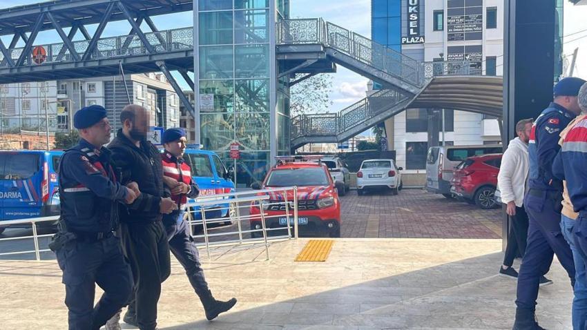 Alanya'da avokado operasyonu! Bahçedeki fener ışığını gören mülk sahibi jandarmaya haber verdi