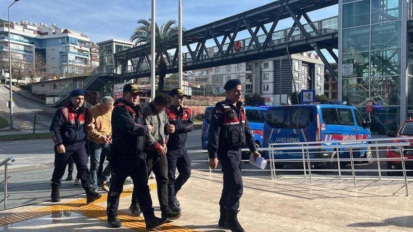 Alanya'da avokado operasyonu! Bahçedeki fener ışığını gören mülk sahibi jandarmaya haber verdi