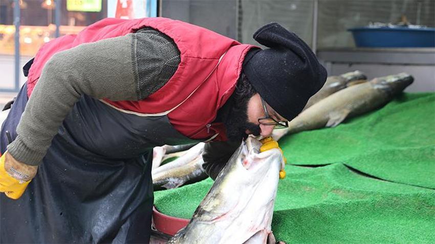 Denizi olmayan kentte yakalandı! Tam 78 kilo, iki kişi zor taşıdı