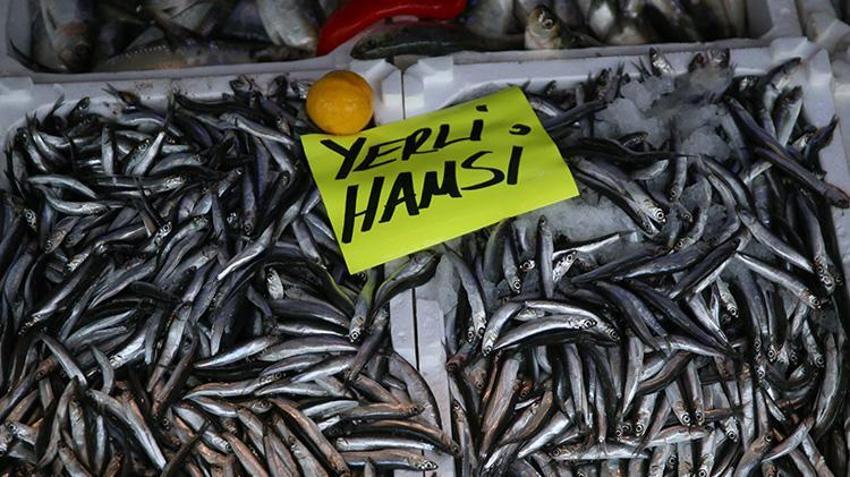 Karadeniz'de sofraların vazgeçilmezi hazırlanmaya başlandı! Kışa değil yaza hazırlık yapıyorlar