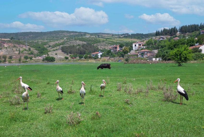 Bursa’ya yeni cazibe merkezi! Hamzabey’de doğa ve tarih buluşuyor