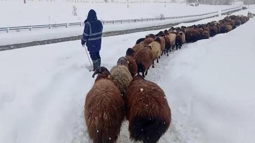 Besicilerin dondurucu soğukta zorlu kış mesaisi