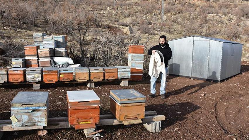 Eşinin tayiniyle geldi, Şırnak balını marka yaptı: Lezzeti ile Paris'i fethetti şimdi sıra Londra’da!