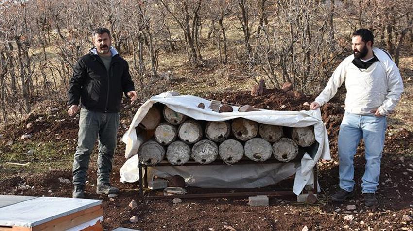 Eşinin tayiniyle geldi, Şırnak balını marka yaptı: Lezzeti ile Paris'i fethetti şimdi sıra Londra’da!