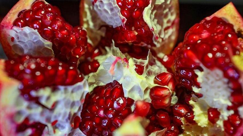Dünya Türkiye'den alıyor! 2025'te yüzler güldü: 62 ülkeye rekor satış