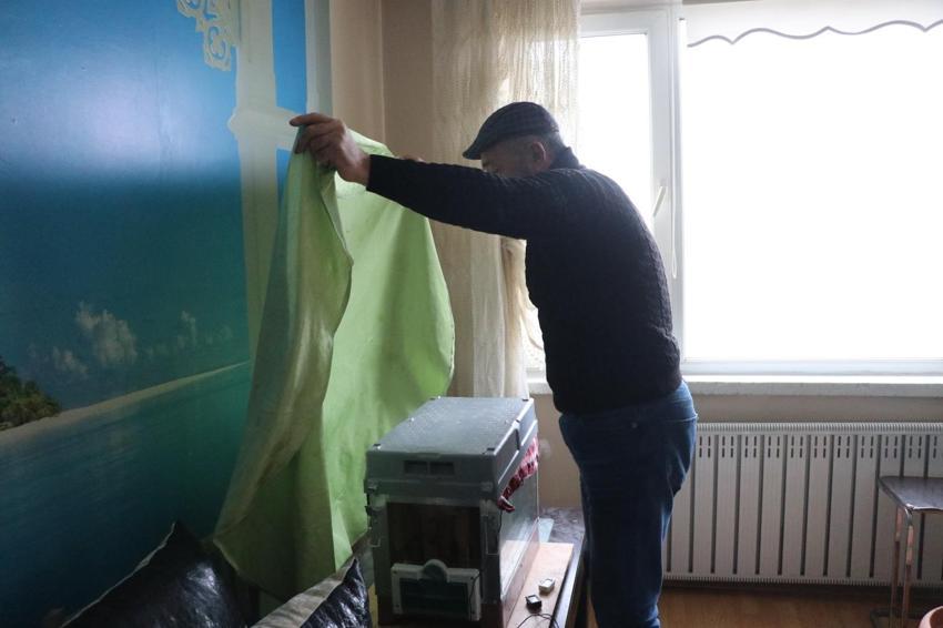 Bu arılar doğada değil Kayseri'de bir apartmanın 15. katında yaşıyor! Elektrik ustası kurduğu sensörlü sistemle arılarını böyle besliyor
