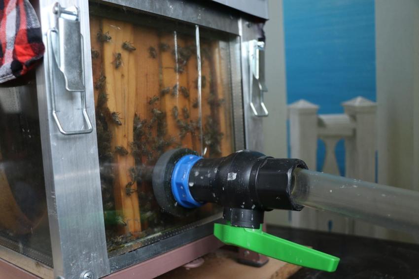 Bu arılar doğada değil Kayseri'de bir apartmanın 15. katında yaşıyor! Elektrik ustası kurduğu sensörlü sistemle arılarını böyle besliyor