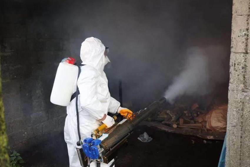 Ordu'da kahverengi kokarcaya karşı seferberlik devam ediyor! 300 bin kışlakta ilaçlama başladı
