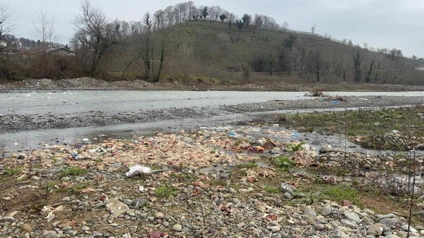Zonguldak'ta onlarcası ölü bulundu: Çay yatağındaki katliam!