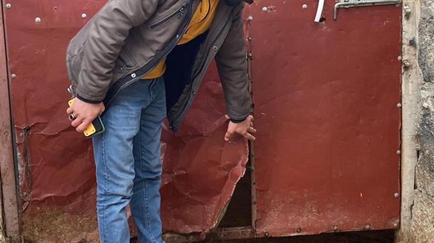 Digor'da kurt vahşeti! 2,5 saatte 200 koyunu tek başına boğdu: Güvenlik kamerası kaydetti