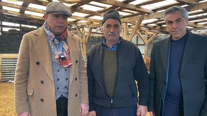 Digor'da kurt vahşeti! 2,5 saatte 200 koyunu tek başına boğdu: Güvenlik kamerası kaydetti