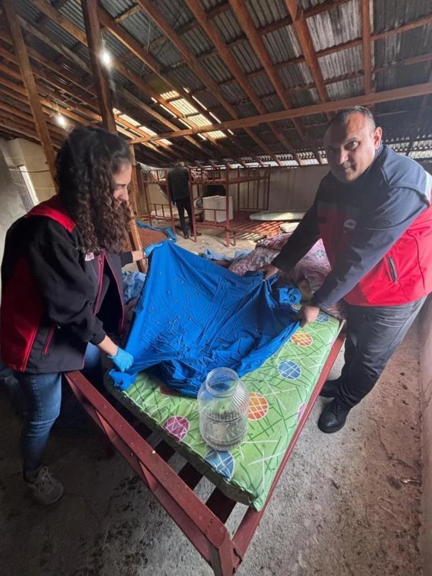 Giresun'da fındığın düşmanı yer altında bulundu: Her köylüden isteniyor