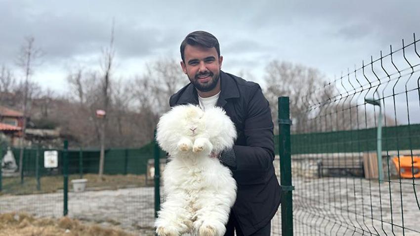 300 yıl önce nesli tükenmişti! Angora tavşanı için başkentte harekete geçildi: Koyun yününden 7 kat daha güçlü! Ekonomiye 'can' olacak