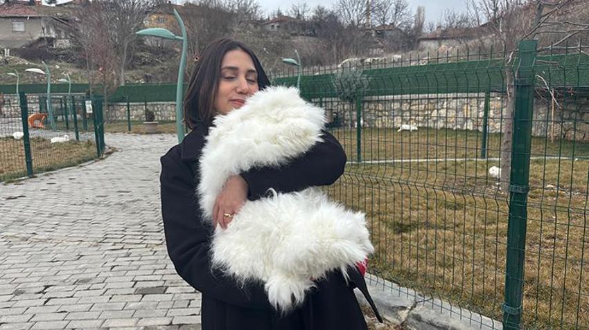300 yıl önce nesli tükenmişti! Angora tavşanı için başkentte harekete geçildi: Koyun yününden 7 kat daha güçlü! Ekonomiye 'can' olacak
