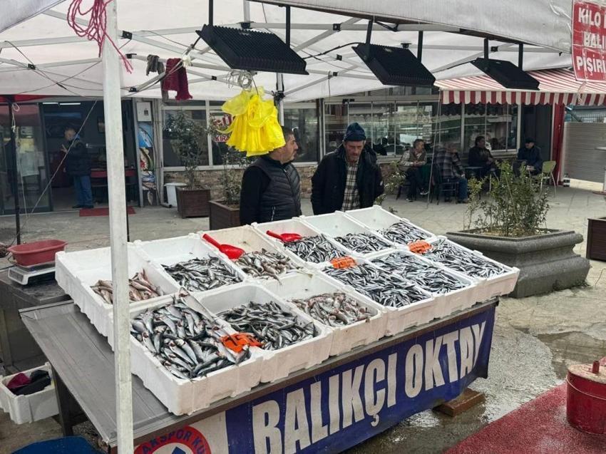 Hamsi geri döndü, fiyatlar düştü! İşte Karadeniz tezgahlarında güncel balık fiyatları