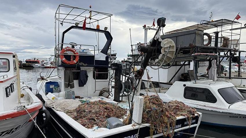 Tekirdağ'da ağlar karides için atılıyor! 1 Şubat'ta büyük mesai başlıyor