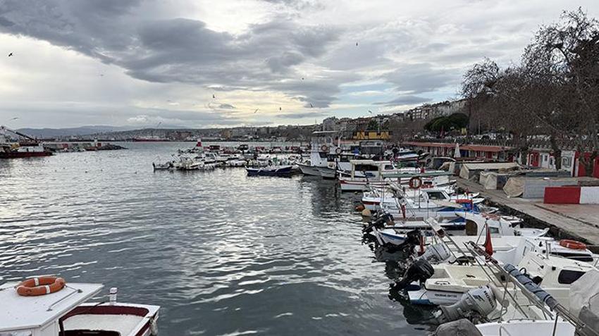 Tekirdağ'da ağlar karides için atılıyor! 1 Şubat'ta büyük mesai başlıyor