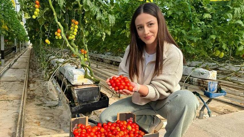 Ağrı'da jeotermal kaynaklar üretimin bereketini artırdı! Yıllık bin 200 tonla ihracata dev katkı