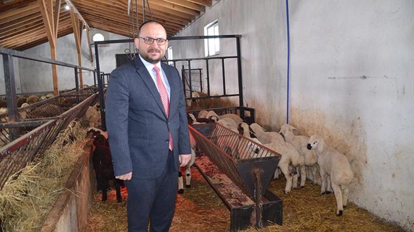 Muş'ta hayvancılıkta yeni dönem! İklim değişikliğine karşı dayanıklı geliştirilen ilk kuzular doğdu, verim rekoru kapıda