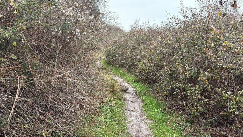 Sakarya'da kendisinden haber alınamayan adamın cesedi bulunmuştu: O ölümde korkunç şüphe!