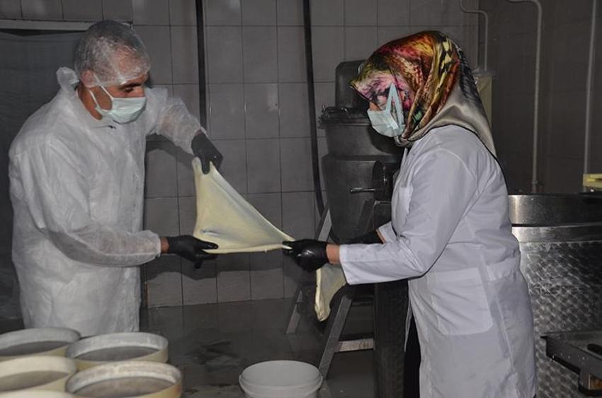 Lise mezunu köyüne kurup patron oldu! Günde 10 ton üretiyor, birçok şehre kasa kasa gönderiyor