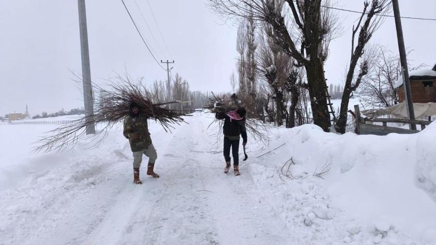 Muşlu üretici saman ve arpaya alternatif buldu! Zor ama bedava: Bu yöntemle maliyetler yarı yarıya düştü