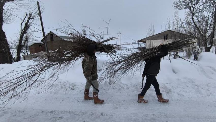Muşlu üretici saman ve arpaya alternatif buldu! Zor ama bedava: Bu yöntemle maliyetler yarı yarıya düştü