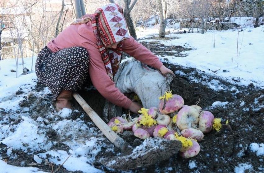 Konya’da asırlık gelenek! Sebzeler toprak altında saklanıyor
