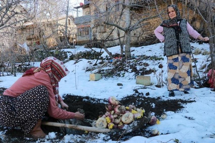 Konya’da asırlık gelenek! Sebzeler toprak altında saklanıyor