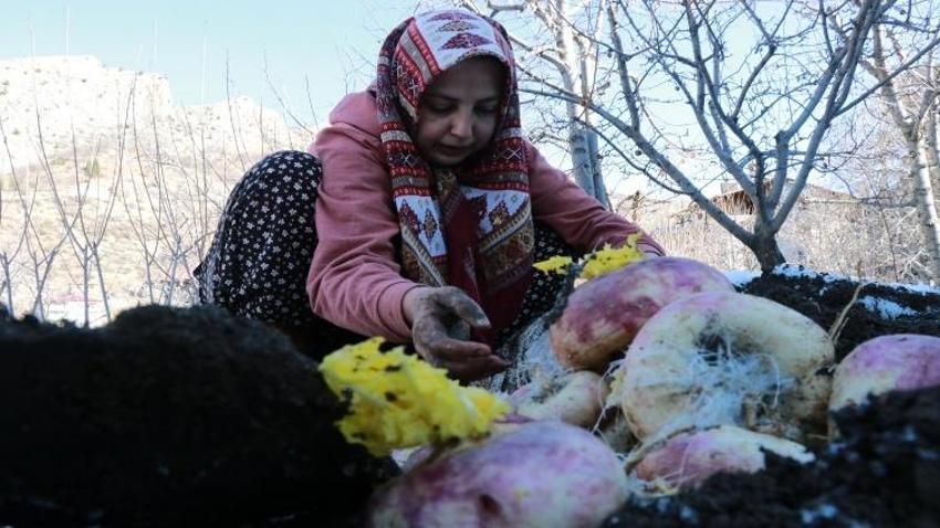 Konya’da asırlık gelenek! Sebzeler toprak altında saklanıyor