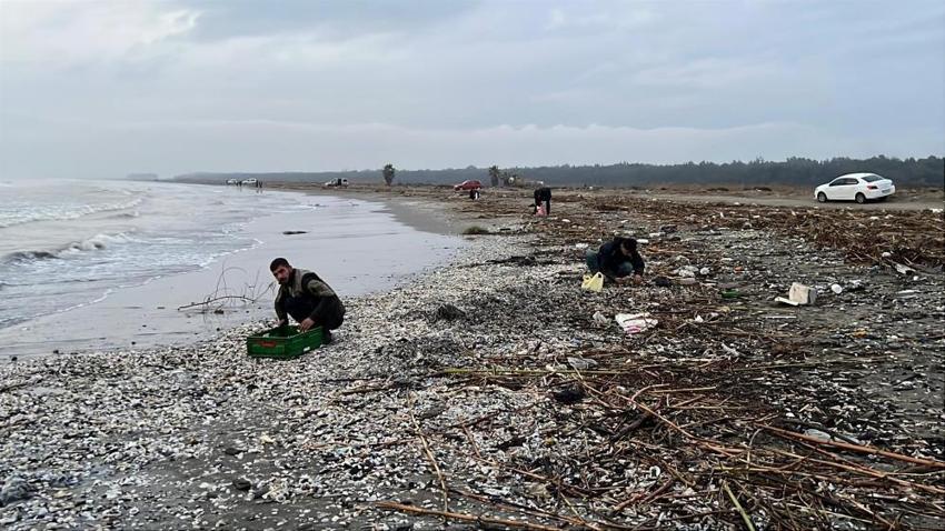Mersin'de fırtına hediye etti: Sahilde tek tek topladılar