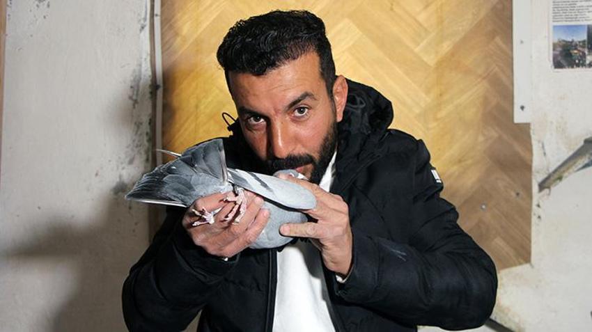 Adanalı vatandaş kaybettiği güvercinin başına ödül koydu! Bulana para verilecek