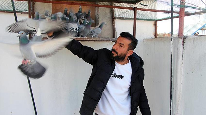 Adanalı vatandaş kaybettiği güvercinin başına ödül koydu! Bulana para verilecek