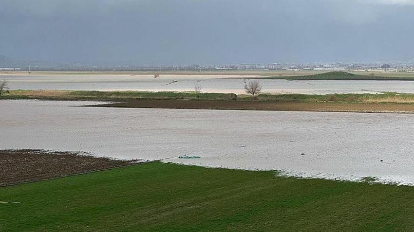 İzmir'de yağmur çiftçinin yüzünü güldürdü: ‘Yağışlar yer altı sularına da yaradı’