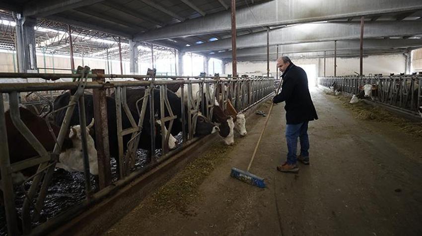 Malatya'daki depremlerde hayvanları telef olan vatandaşa devlet desteği: 'Açıkçası ben pek ihtimal vermiyordum'