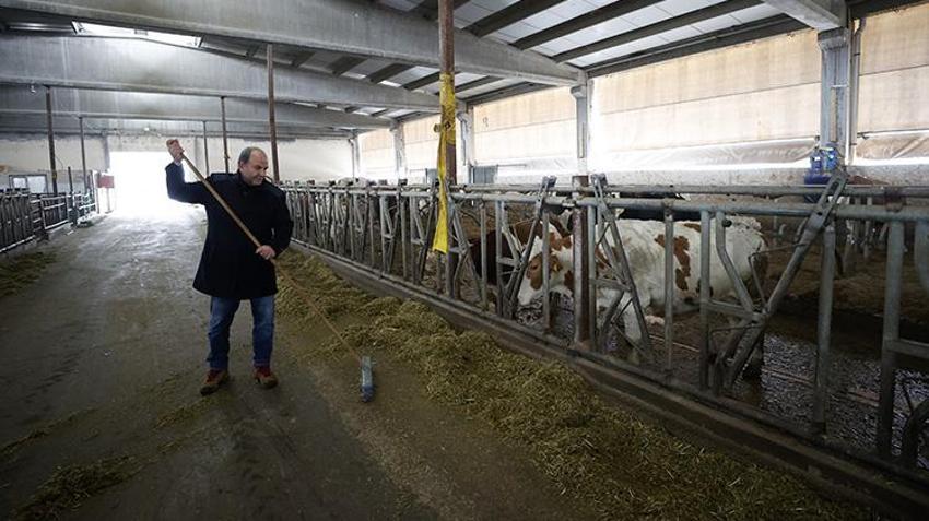 Malatya'daki depremlerde hayvanları telef olan vatandaşa devlet desteği: 'Açıkçası ben pek ihtimal vermiyordum'