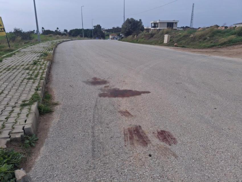 Aydın'da yol ortasında kanlı infaz: Araç içerisinde silahlar patladı