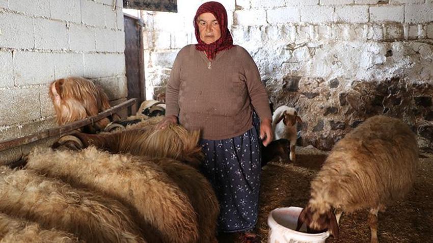 Depremde her şeyini kaybetmişti, devlet desteğiyle küllerinden doğdu