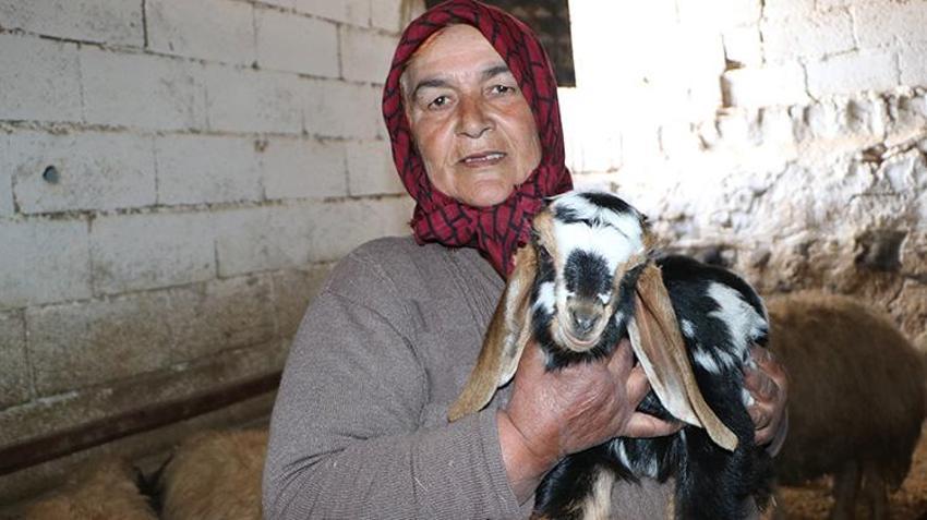 Depremde her şeyini kaybetmişti, devlet desteğiyle küllerinden doğdu