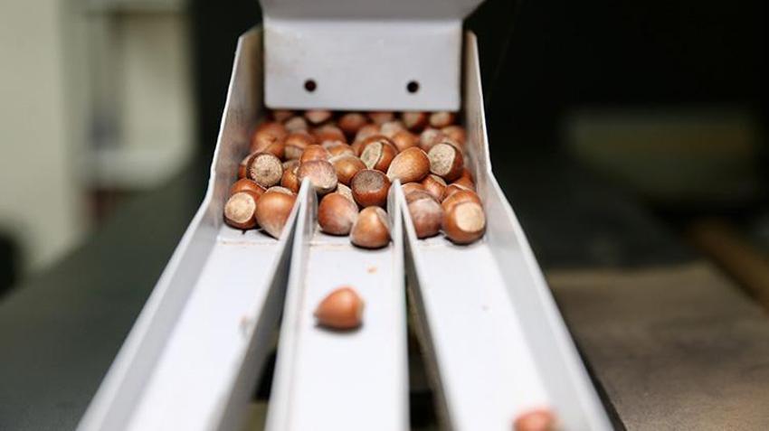 Giresun'da genç kadın işi öğrendi devlete başvurdu! Aldığı destekle kendi tesisini kurdu