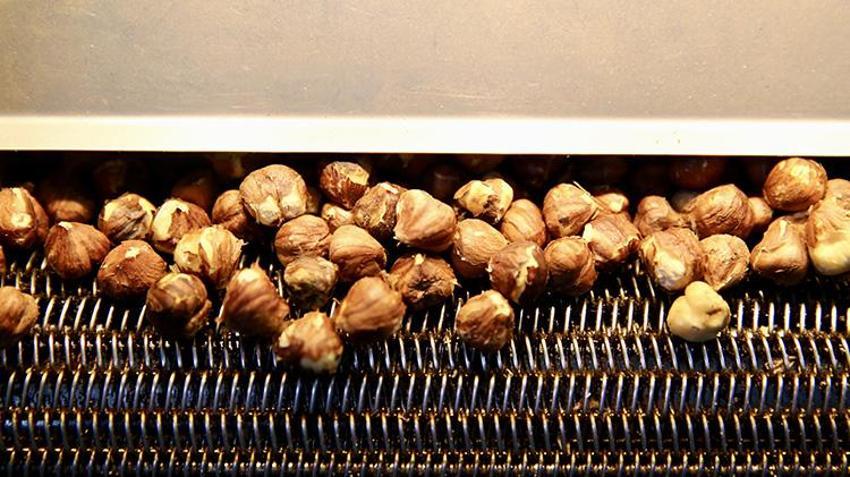 Giresun'da genç kadın işi öğrendi devlete başvurdu! Aldığı destekle kendi tesisini kurdu